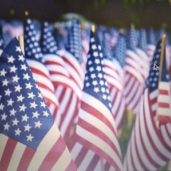 Meet your Posher, Kiki - Picture 6 of 8